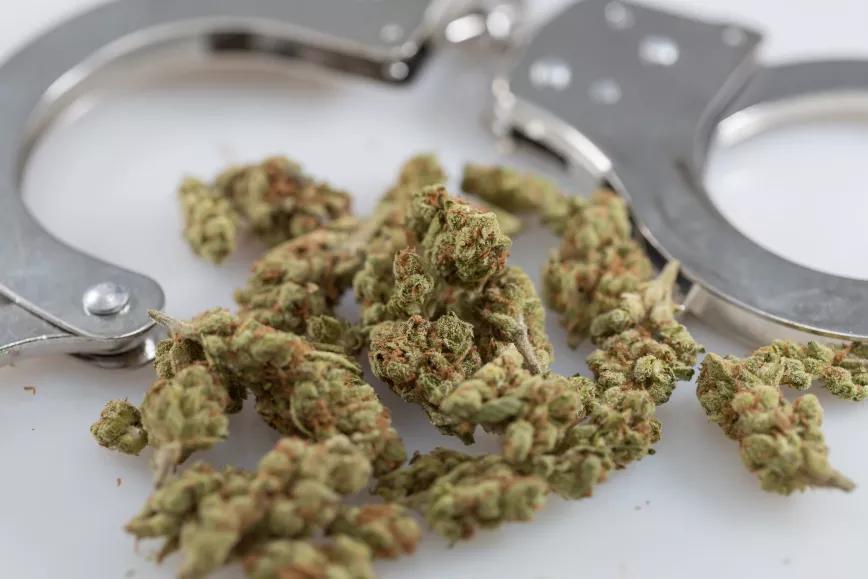 NORLM lanza campaña para reducir la persecución del cannabis durante la Covid-19