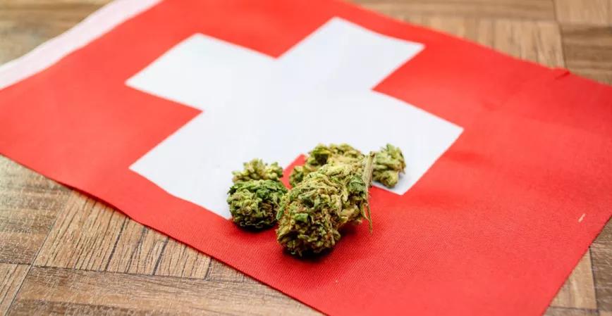 ¿Suiza está preparando una ley para legalizar el consumo de cannabis recreativo?