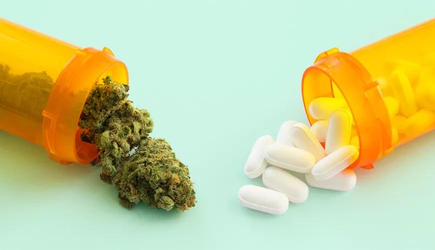 Nuevo estudio relaciona el cannabis con la reducción en uso de opioides