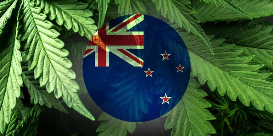 56% de los neozelandeses dispuestos a legalizar el cannabis en otoño