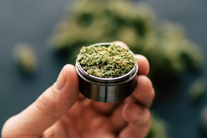 Consumo de cannabis desciende en territorios legales y es innegable hasta para los anti-droga