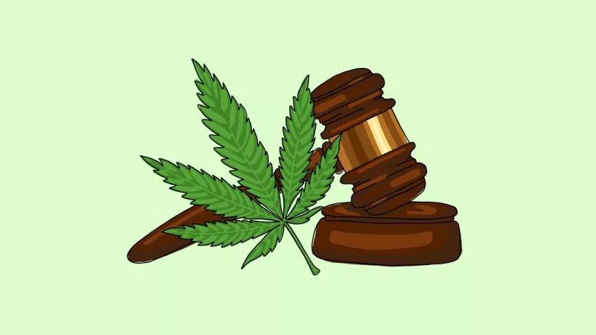 Pena máxima por delito de tráfico de cannabis