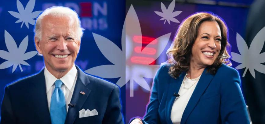 Kamala Harris asegura que Joe Biden descriminalizará el cannabis a nivel federal
