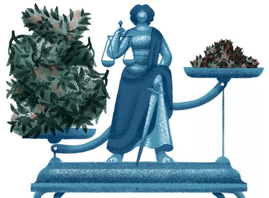 Ilustración: Justicia y marihuana