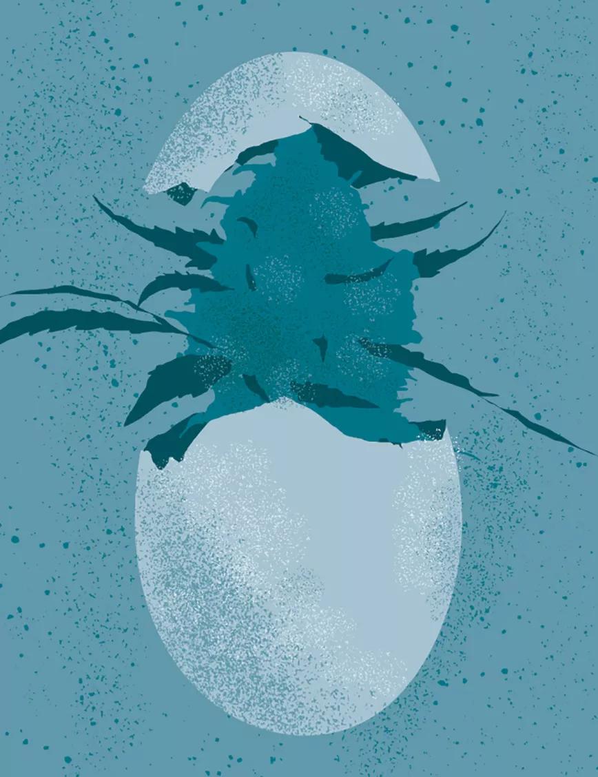 Ilustracción: Cannabis en huevo