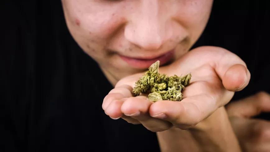 Estado de Washington contrata gente para que controle el olor de la marihuana
