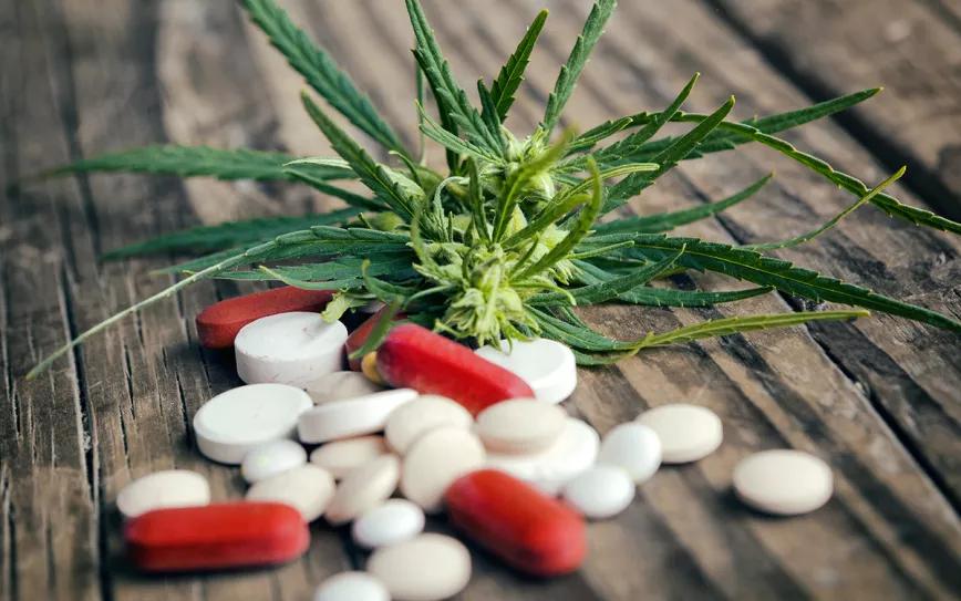 Nuevo estudio señala que el cannabis ayuda a dejar los opioides