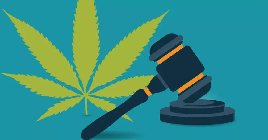 Algunas de las razones por las que legalizar el cannabis