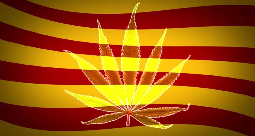 Cataluña capital del tráfico de marihuana de Europa