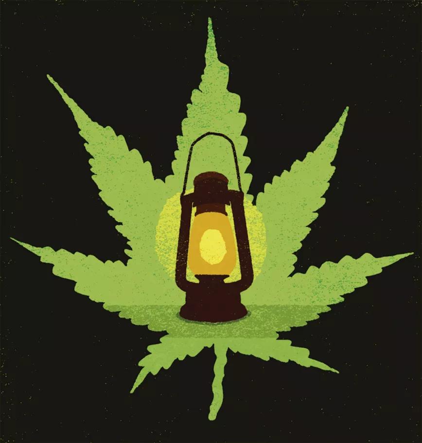 Ilustración: cannabis, activismo