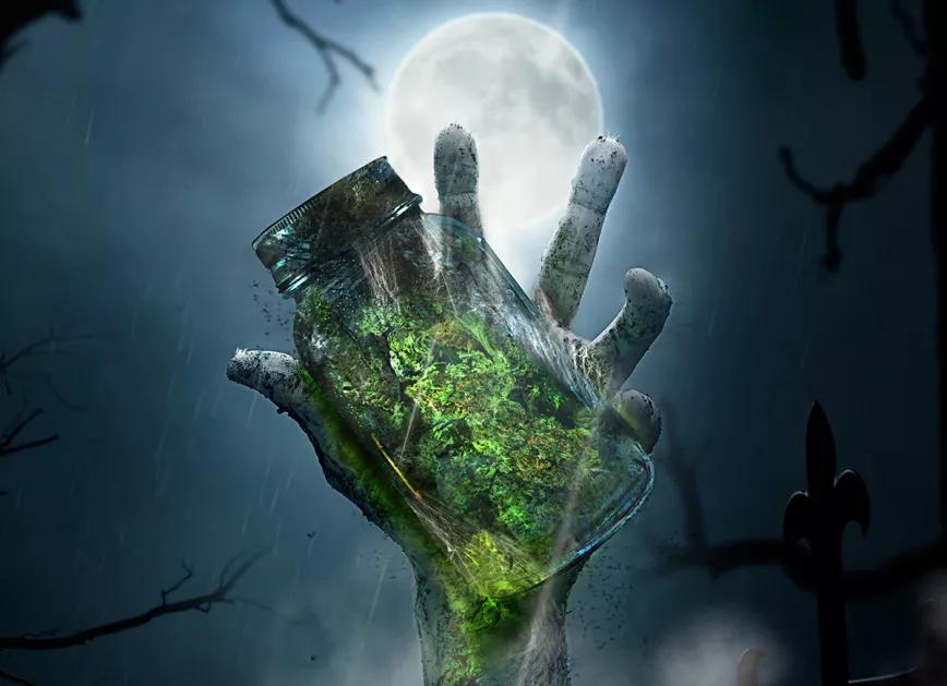 Variedades zombis y terroríficas para este Halloween