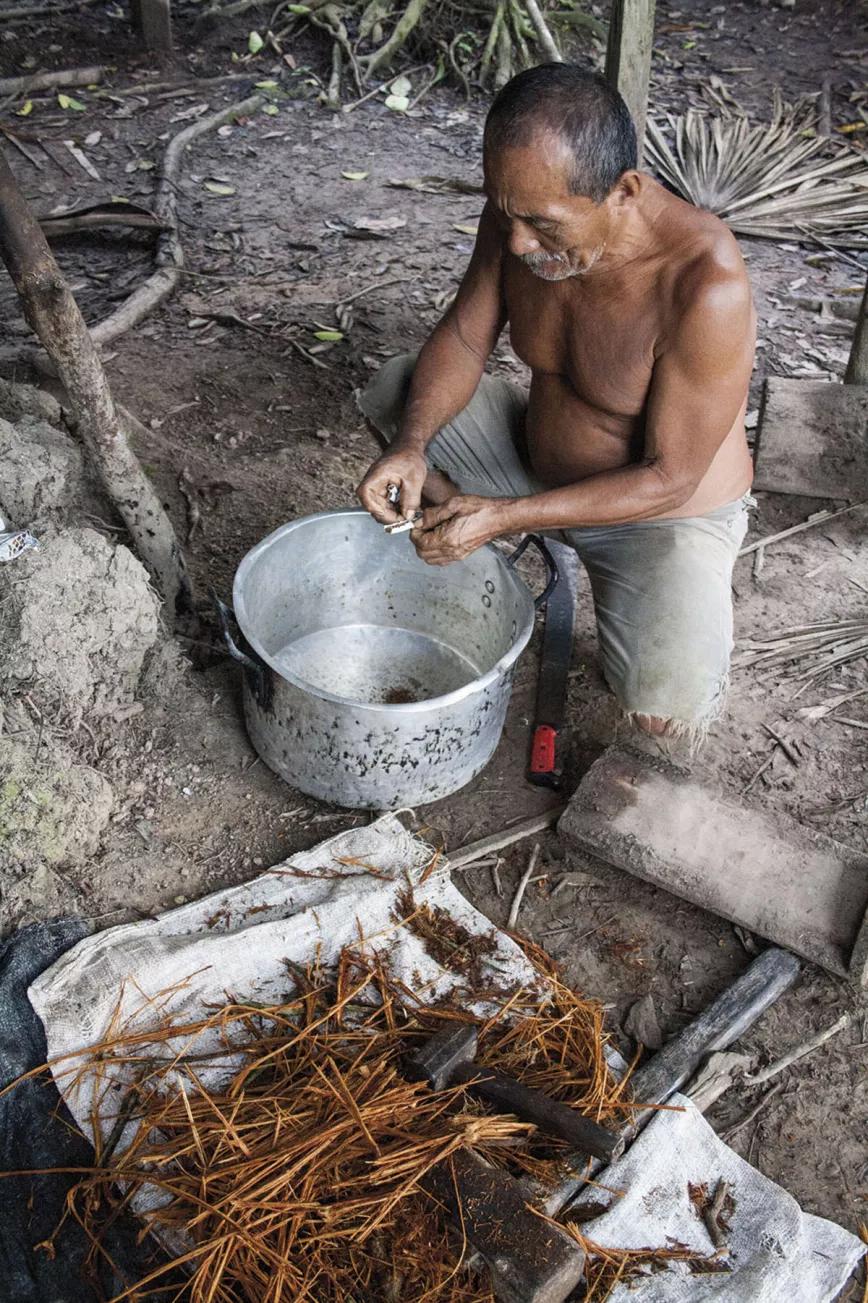 Don Rogelio preparando ayahuasca