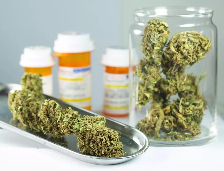 Se inicia el programa de marihuana medicinal el Virginia