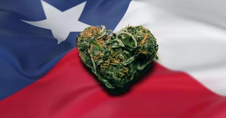 Texas recaudará 500 millones de dólares en impuestos si legaliza el cannabis