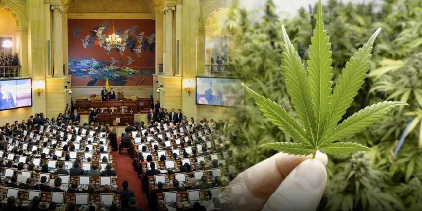 Fracasa el intento de despenalizar el uso recreativo de marihuana en Colombia