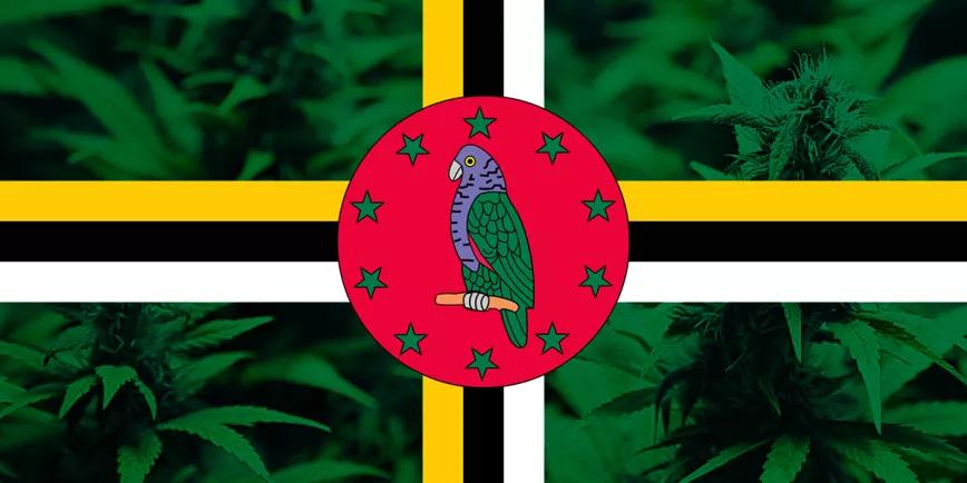 El Gobierno de Dominica legaliza el autocultivo y despenaliza la posesión de cannabis