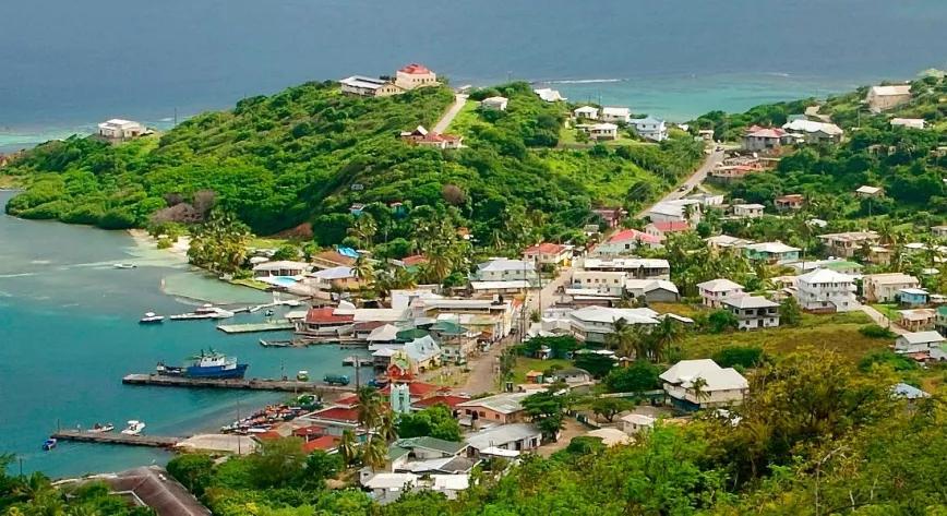 San Vicente y las Granadinas lanza un programa de investigación psicodélica