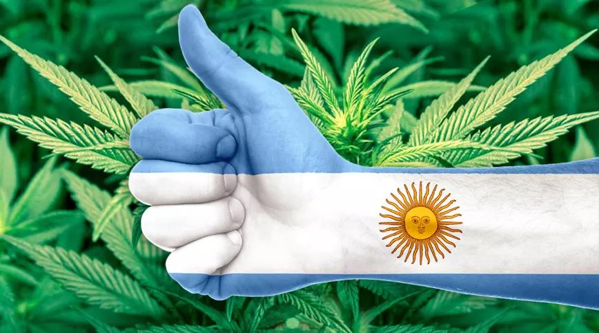Argentina aprueba el autocultivo de cannabis medicinal y la venta aceite en farmacias