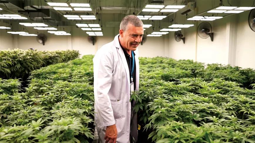 El sueño de vivir del cannabis. Entrevista a Jaime Carrión