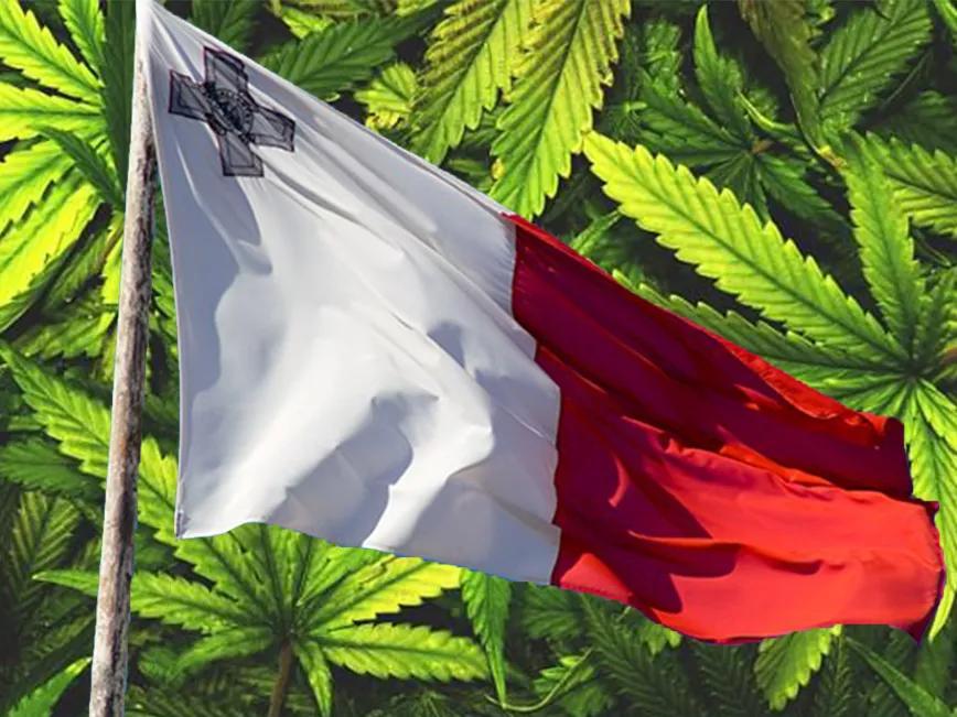 Malta adjudica la primera licencia de cultivo de cannabis para pacientes y producción nacional