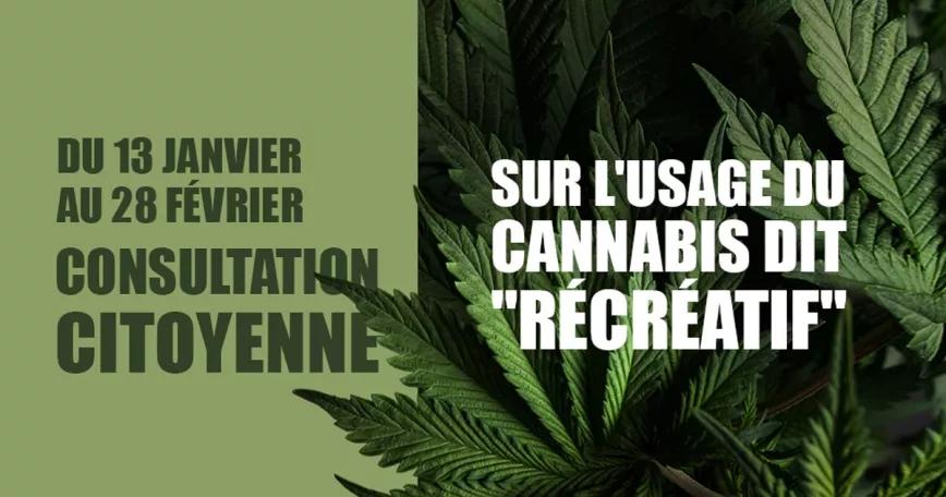 Francia lanza una consulta para valorar la opinión ciudadana sobre el cannabis