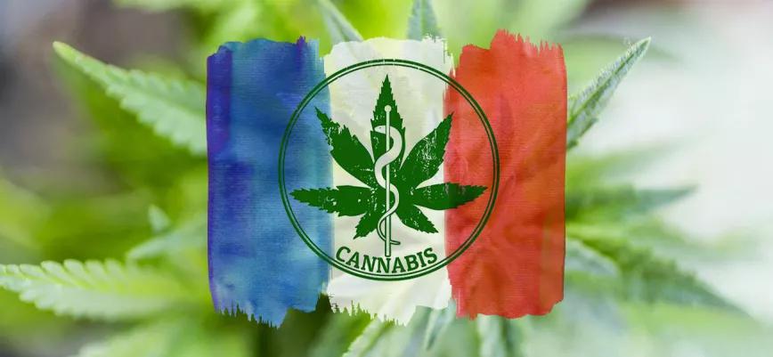 Francia ya tiene proveedores de cannabis medicinal para su programa piloto