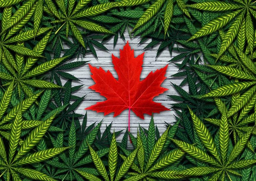 El mercado de cannabis recreativo en Canadá supera las ventas del mercado negro por primera vez