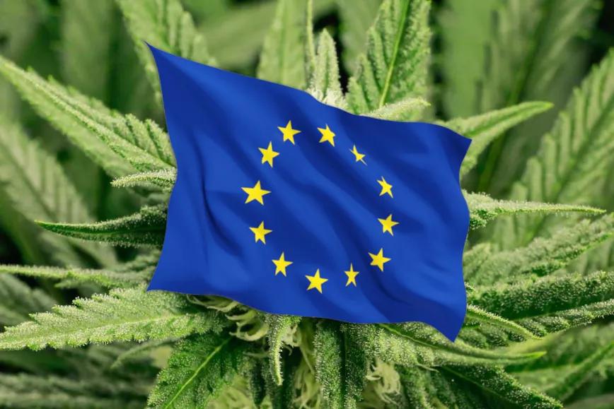 El 8% de los europeos ha consumido cannabis en el último año según una encuesta