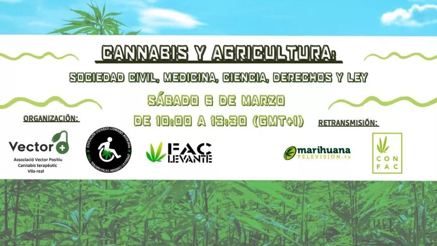Dos asociaciones de cannabis terapéutico organizan una jornada formativa en Villa Real