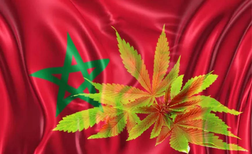 El Gobierno de Marruecos aprueba regular la producción de cannabis medicinal