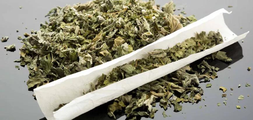 El Spice debería llamarse ‘neocannabinoide’ y no ‘cannabinoide sintético’, dice un investigador