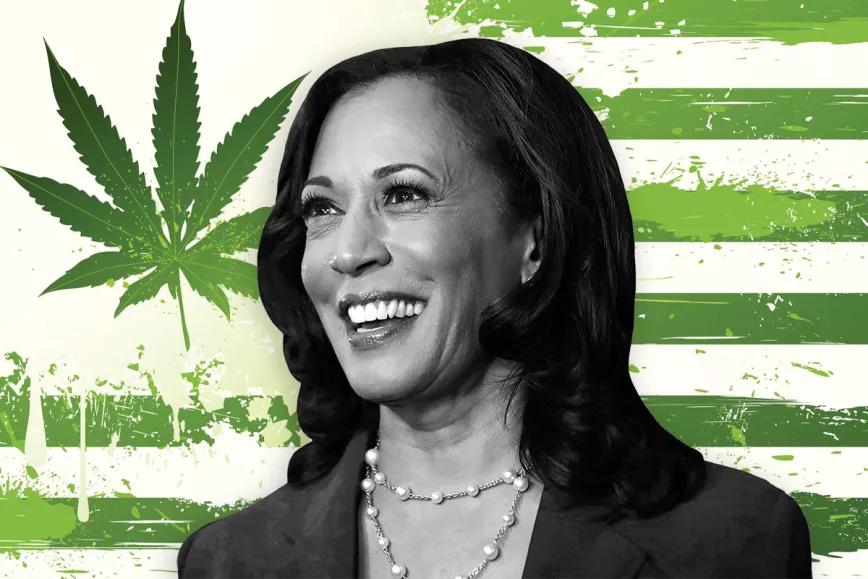 La vicepresidenta de EE UU Kamala Harris deja de apoyar la regulación del cannabis