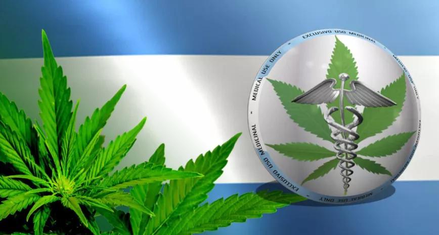 Argentina crea el registro para el autocultivo medicinal de cannabis