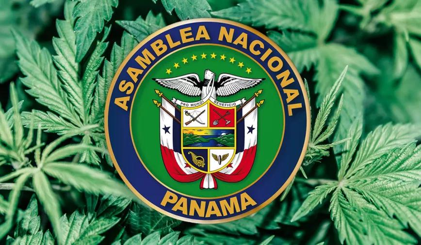 La Asamblea de Panamá retoma la discusión sobre el cannabis pero la envía a una comisión