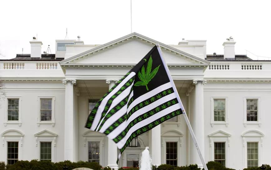 Los despidos por cannabis en la Casa Blanca levantan numerosas críticas y reacciones