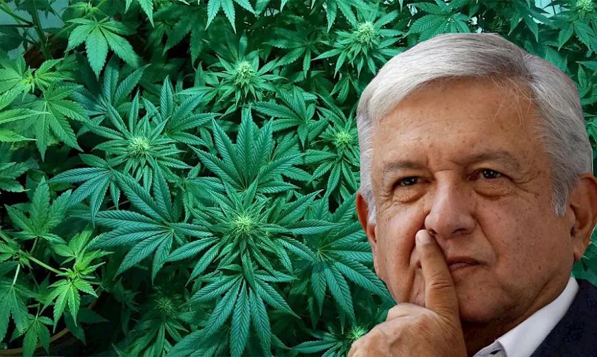 Lobbys de la industria del cannabis presionan al presidente mexicano para que regule 