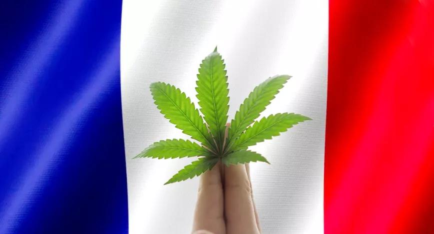 Diputados franceses recomiendan al Gobierno la regulación del cannabis 