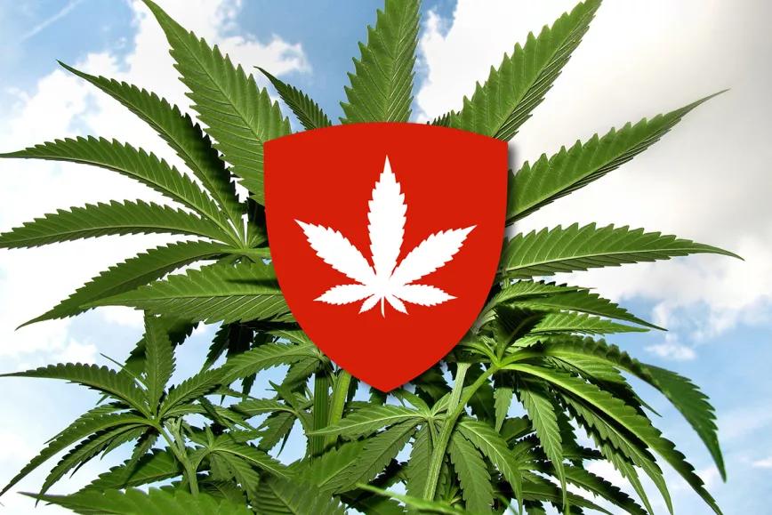 Comisión de Salud del Parlamento suizo aprueba un proyecto para regular el uso adulto del cannabis