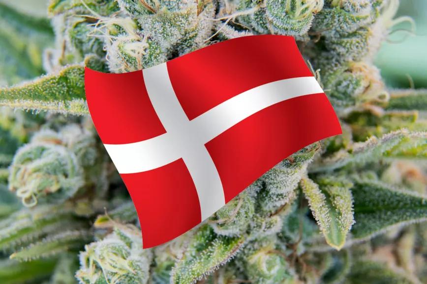 Dinamarca amplía el programa de cannabis medicinal cuatro años más