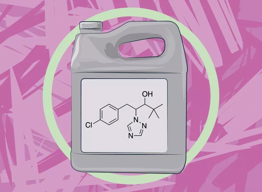 La verdad sobre el paclobutrazol 