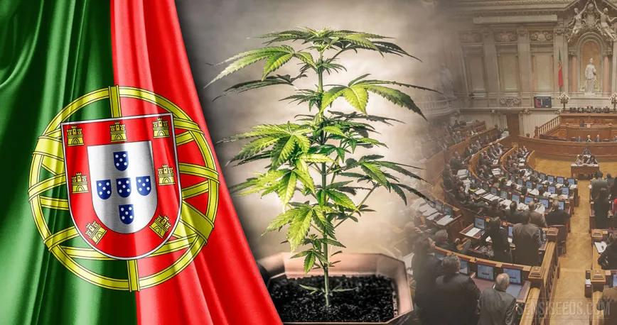 El Parlamento de Portugal discute la regulación integral del cannabis