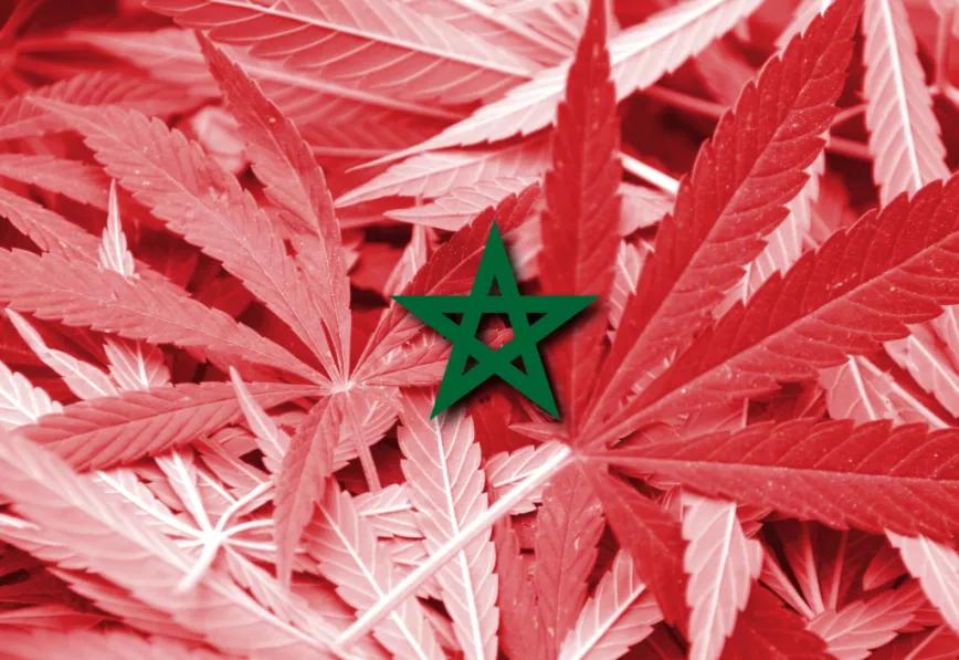 Marruecos aprueba definitivamente la regulación del cannabis medicinal e industrial