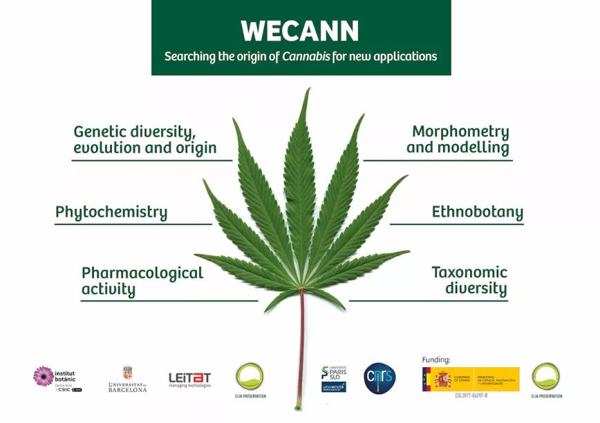 El Instituto Botánico de Barcelona programa un seminario sobre el cannabis