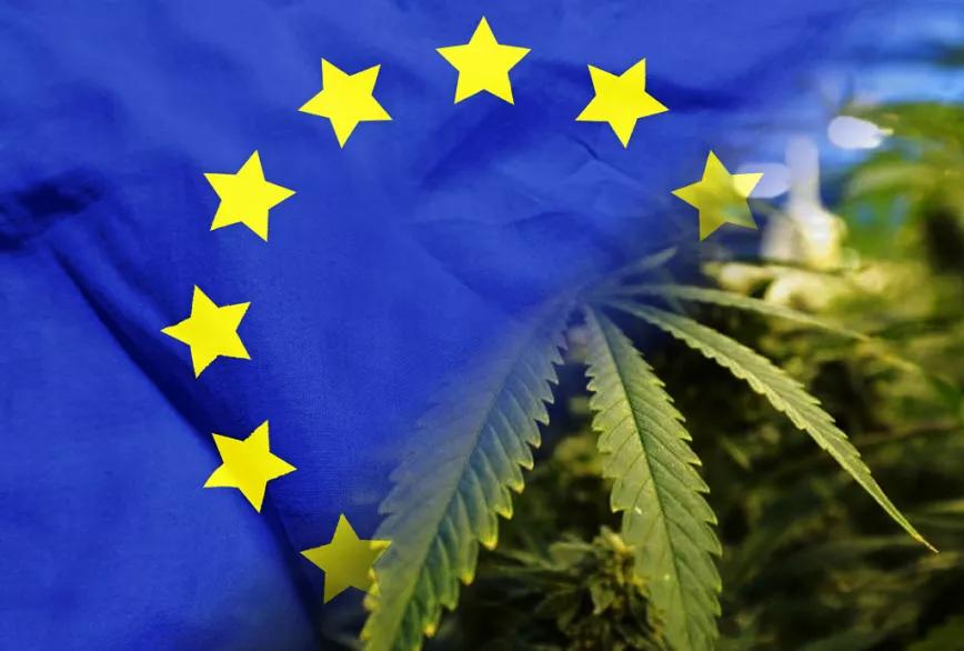 Eurodiputados crean un nuevo grupo parlamentario para el cannabis medicinal en la UE
