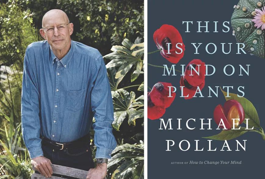 Michael Pollan vuelve a abordar las drogas en un nuevo libro 