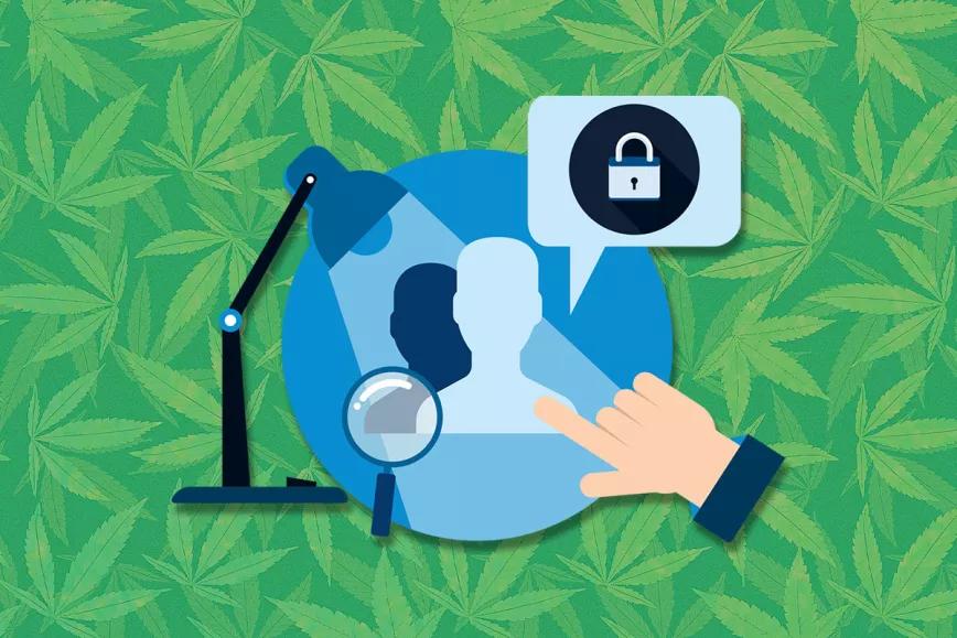 La protección de datos sobre los cultivadores de cannabis se disputa en Uruguay
