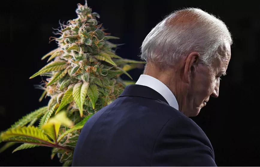 Biden sigue oponiéndose a la regulación del cannabis recreativo