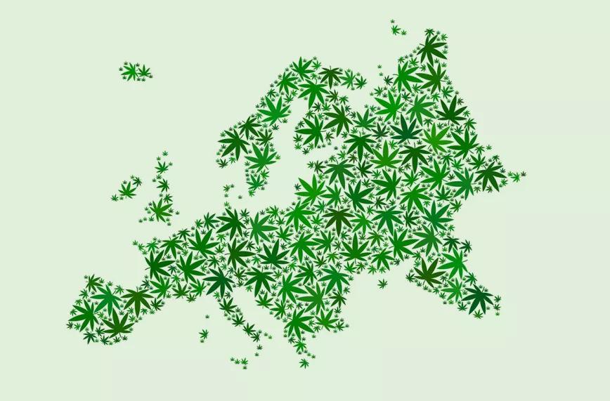 Las políticas de los Estados europeos sobre el cannabis en el último año