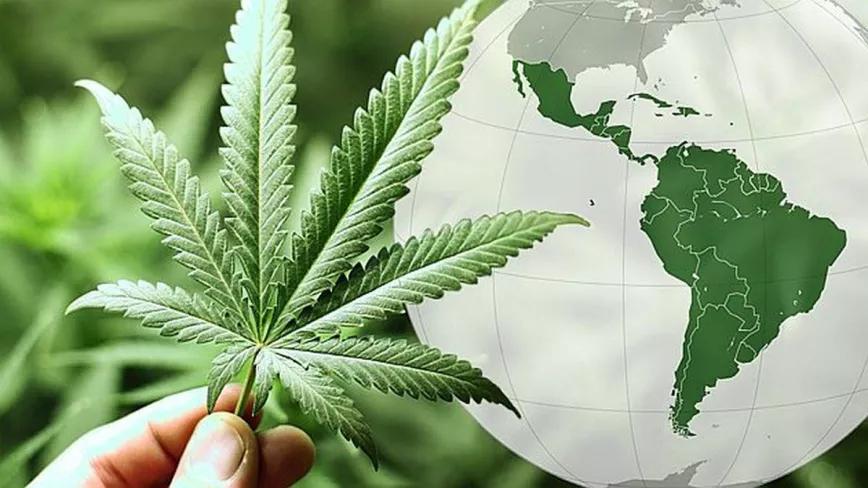 Políticas de Estados latinoamericanos sobre cannabis en el último año