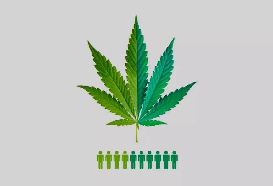 El 65% de los argentinos está a favor de regular el cannabis para adultos según una encuesta